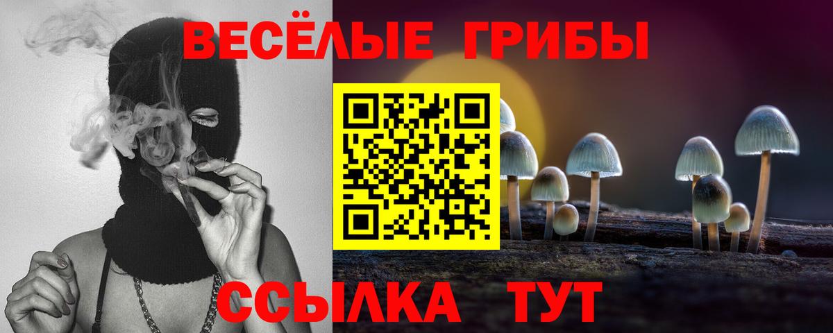 Богданович  Галлюциногенные грибы Psilocybine cubensis  Вход с VPN 